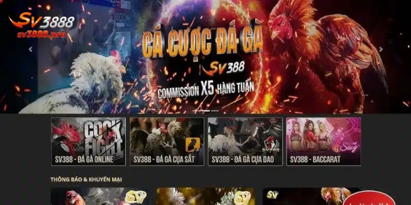 Các chuyên mục cá cược khác phổ biến tại nhà cái trong năm 2025